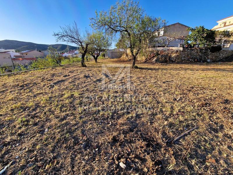 Foto 51aa7a96-61a1-4634-9e7b-c3fba8089fa9. Residential plot in Traiguera