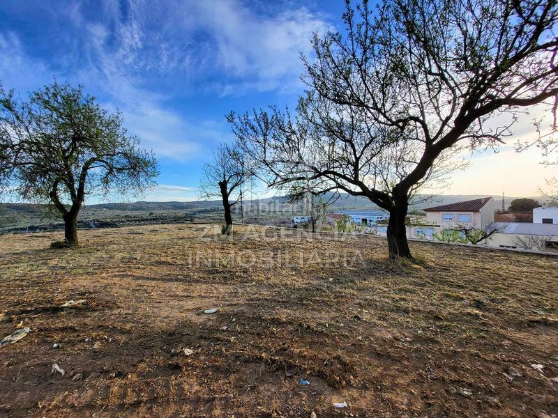 Foto 80209ffd-6827-4ffa-a09c-5a31076d6059. Residential plot in Traiguera