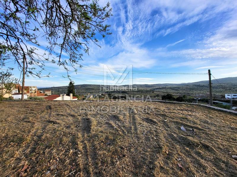 Foto 919be73b-e6dd-4bdd-b04c-018d0a7dcda5. Residential plot in Traiguera