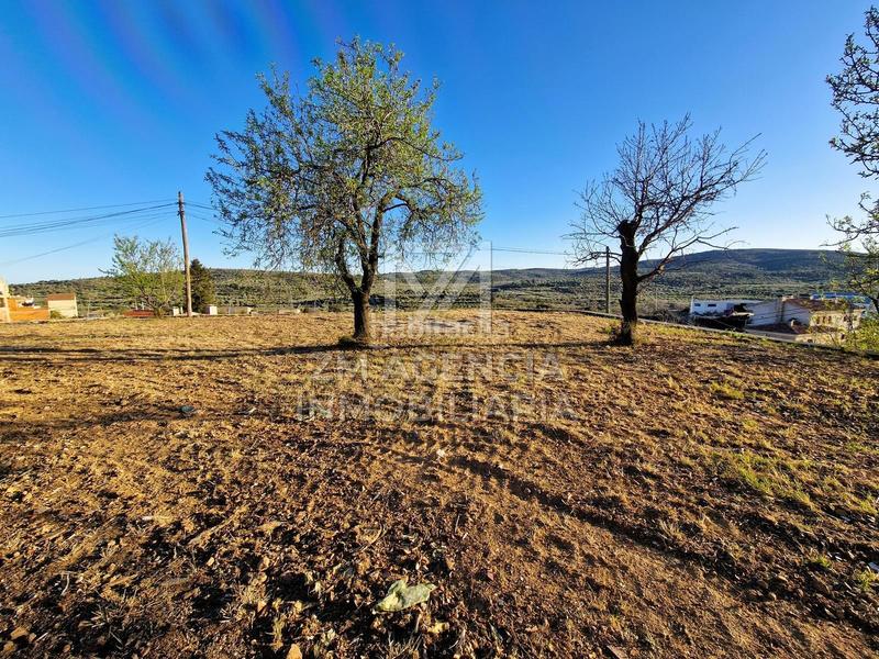 Foto 95334bcc-4924-49ce-accc-33a1b2450760. Residential plot in Traiguera