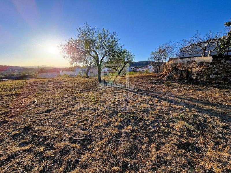 Foto 96bb5a80-96c4-4430-95a4-aff74077dbe4. Residential plot in Traiguera