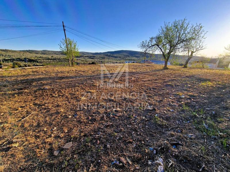 Foto c06bc60c-ed36-4a89-886b-4456f208a062. Residential plot in Traiguera