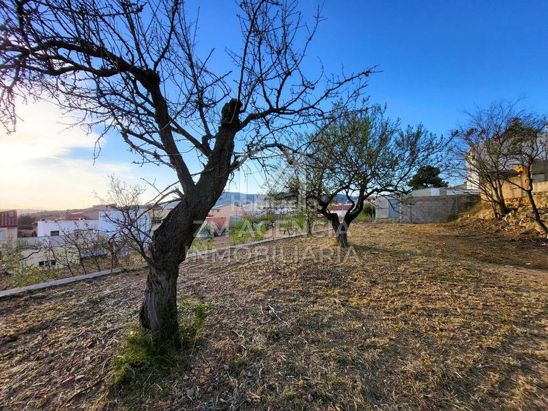 Foto c1a89e20-fc62-4281-ac5d-6cb38b4bae9f. Residential plot in Traiguera