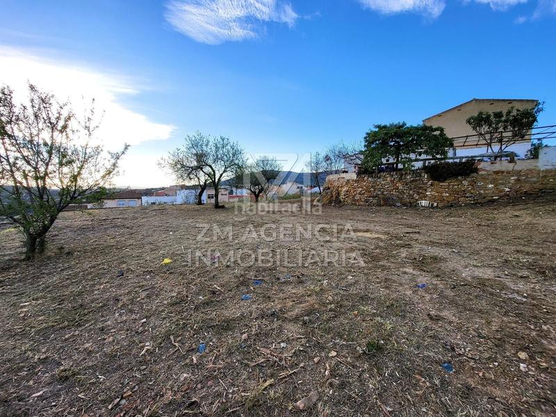 Foto dc6b6747-3523-45f3-b369-c7ad59991432. Residential plot in Traiguera