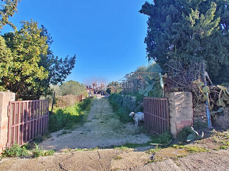 Foto 11a6fd68-158f-4e5d-a131-77befbf97a1c. Casa amb piscina a Catllar (El)