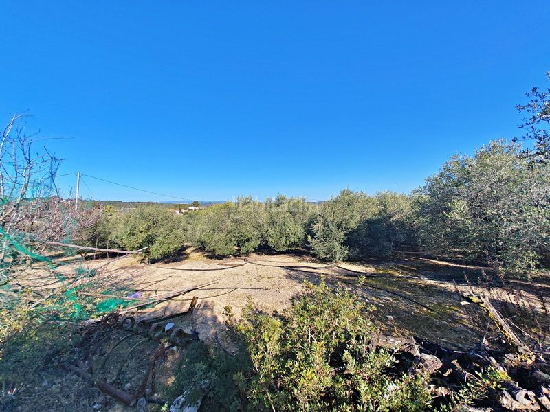 Foto 66ae45d6-87db-4249-85e3-cc38b4106a37. Casa amb piscina a Catllar (El)