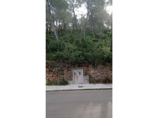 Fondo rustico  Pinos,los (trencarroques). Parcela urbanizable