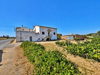 Xalet  Sant marti. Un patrimonio con raíces tres viviendas y una viña propia en el