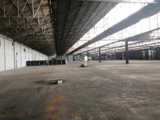 Bâtiment à usage industriel à As gándaras 42. Venta de nave industrial  de 11.700 m2.