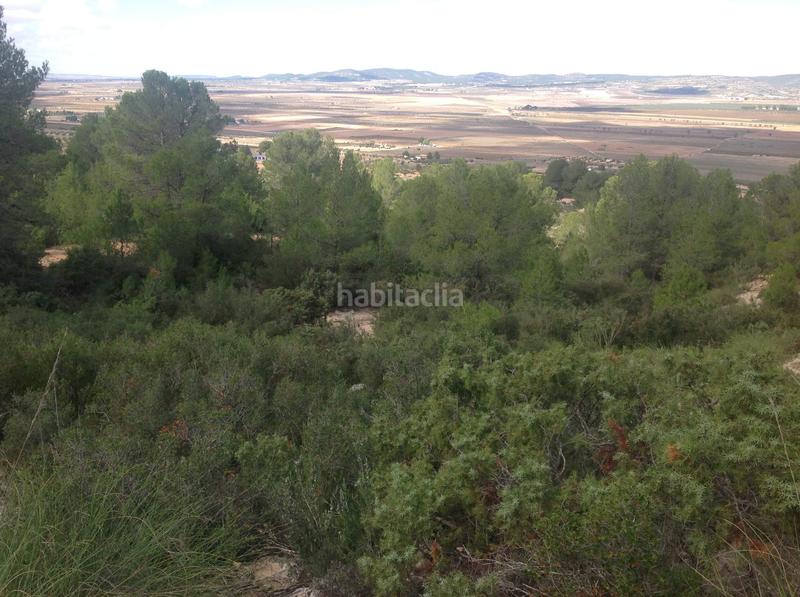 Foto 1c8af02f-cfdc-4587-aa83-5e8b8d05d355. Finca rústica a Yecla