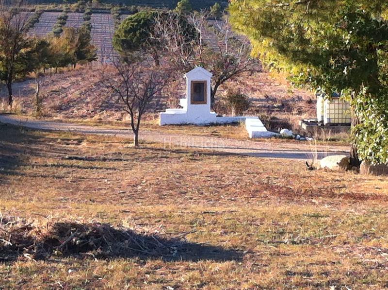 Foto 40573607-3653-4b95-909f-20dd95d8d90c. Finca rústica a Yecla