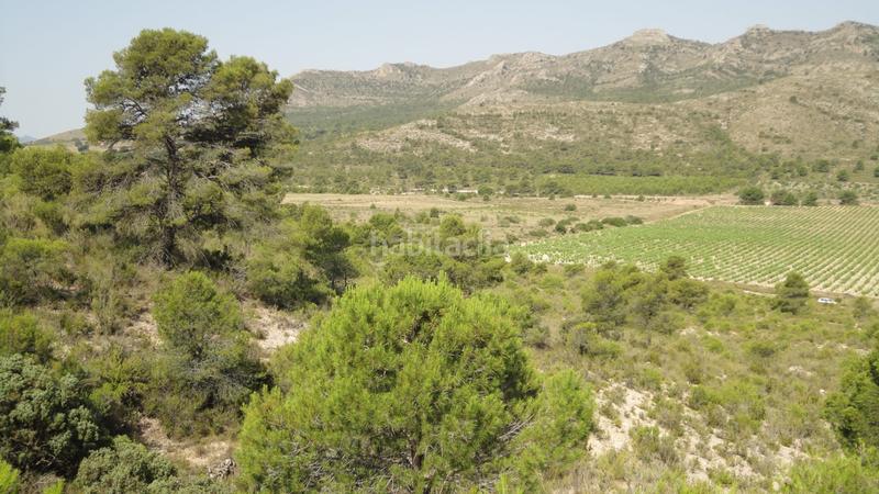 Foto 47d81d24-953d-4071-ae51-c264eb174a8a. Finca rústica a Yecla