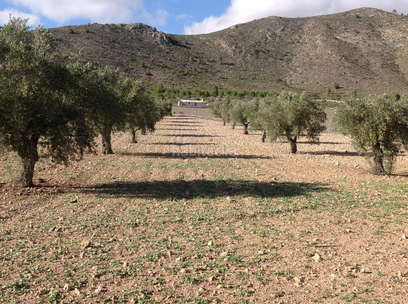 Foto 5c7b8ffd-1335-482d-81c5-c045be42a7d8. Finca rústica a Yecla