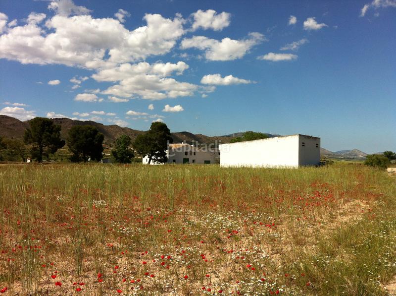 Foto 70cb629f-7919-4edd-9215-d5a92aec65ee. Finca rústica a Yecla