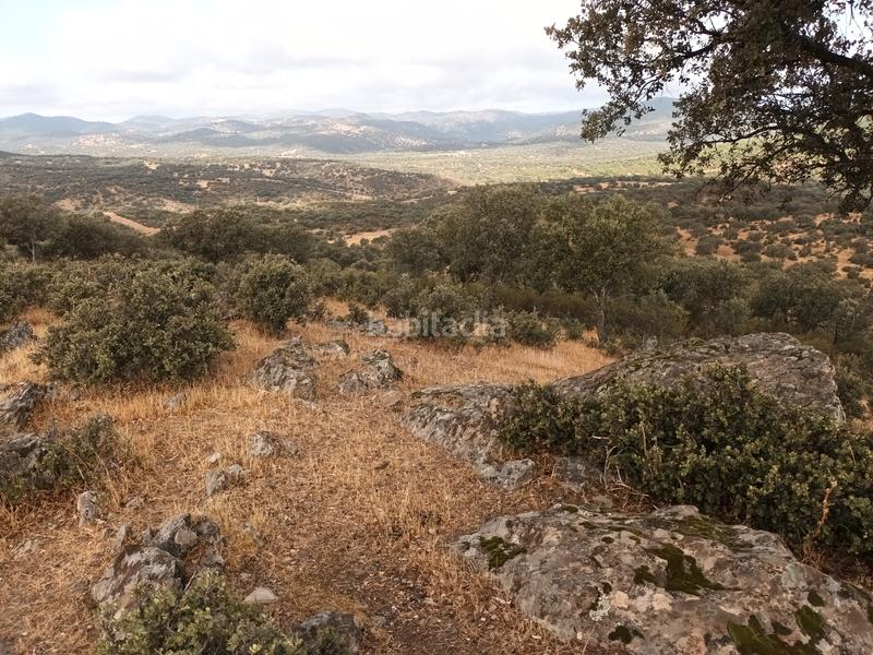 Foto 01115b0d-6893-47d4-af8d-50e55f1c82da. Propriété dans Vilches