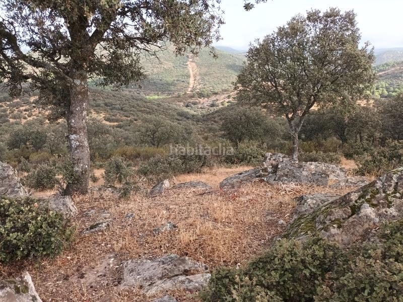 Foto 0f9246c3-d6b8-417b-818e-21ee9cfbb54e. Propriété dans Vilches