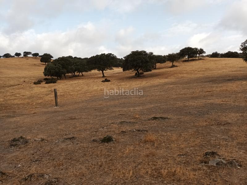 Foto 65cacf15-3576-4ec5-a66e-2b54fd12aadb. Propriété dans Vilches