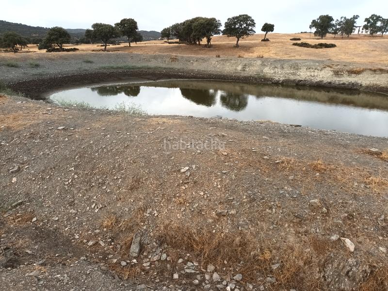 Foto 73d6cf57-3a6a-481c-8baf-e73bca425dbf. Propriété dans Vilches