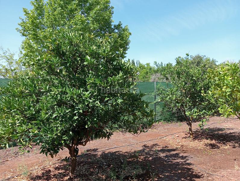 Foto 692cf6d7-d51a-4c6f-8041-910391f9507c. Propriété dans Guarromán