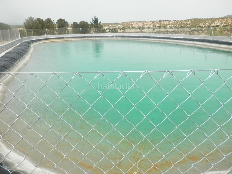 Foto 9717d43b-b3a0-4701-8636-1bef570a11a6. Finca rústica finca 75 has.&gt; recreo-olivar-almendros-caza en Granada