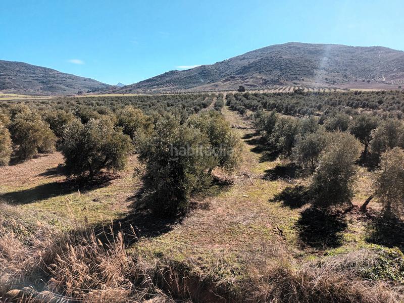 Foto 0da25aad-85c1-4b28-a84b-eb26d4d47091. Finca rústica a Villapalacios