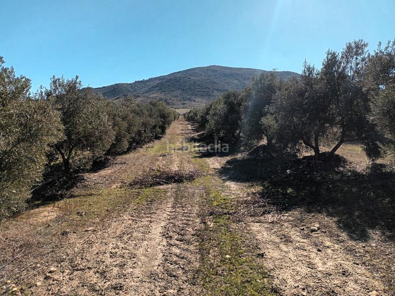 Foto 1efaa096-9b58-42b5-8cb1-890bb75349be. Finca rústica a Villapalacios