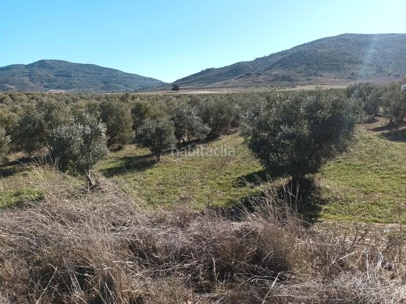 Foto 1ff3a2d5-597b-44dd-870d-e312ac23ee20. Finca rústica a Villapalacios