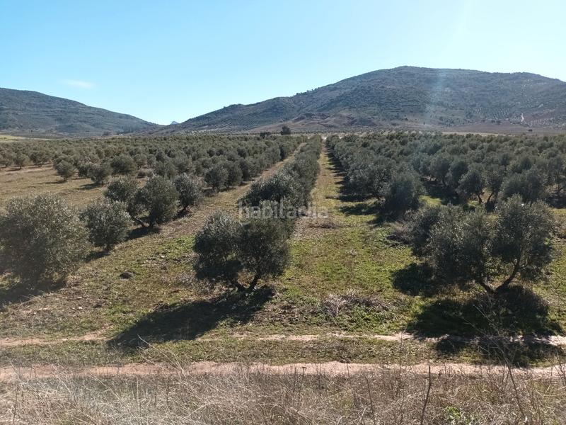 Foto 3bd3c116-7e38-4d4e-8916-375cc7c8bf5f. Finca rústica a Villapalacios