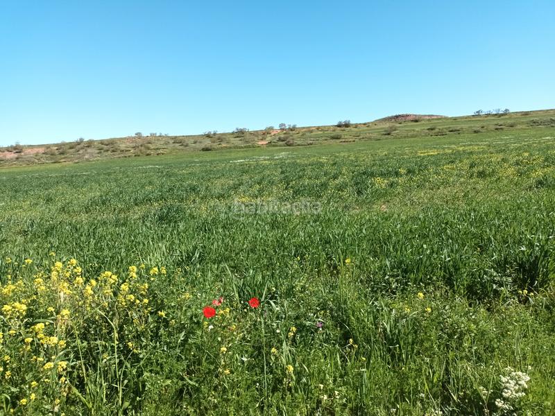 Foto 7a514b01-e05c-4f59-b4b6-8edb1fe2c68f. Finca rústica a Alcaraz