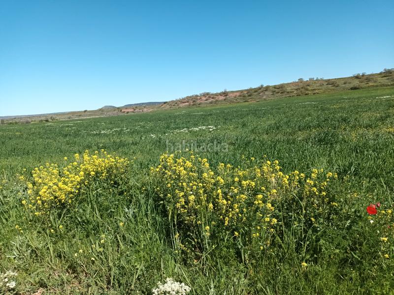 Foto 96cbdba6-d6db-4084-b1f3-6c951ff90328. Finca rústica a Alcaraz