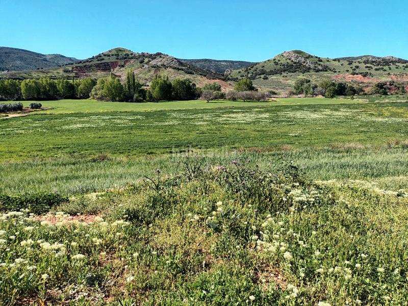 Foto 9873b2d8-b94f-4d24-ae3b-ea71e99cdd31. Finca rústica a Alcaraz
