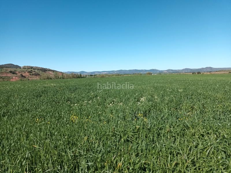 Foto ba91b83f-252a-46eb-8166-a3904eccea49. Finca rústica a Alcaraz