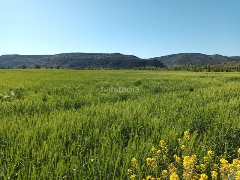 Foto dab9deaf-1cb8-434f-8604-3325ed3d8371. Finca rústica a Alcaraz