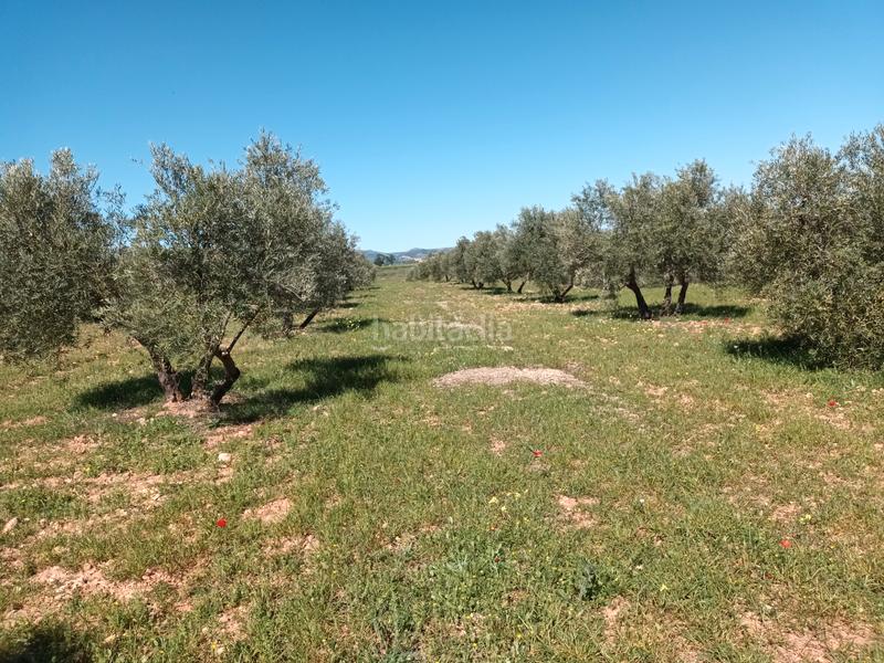 Foto e6955b06-fc9a-4c44-ad67-02ec0b5289a2. Finca rústica a Alcaraz