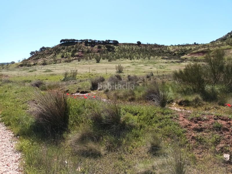 Foto fcf942f3-82b5-48ed-aae8-9e002f6f200f. Finca rústica a Alcaraz