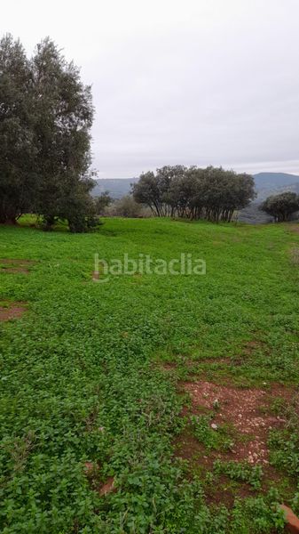 Foto 913232ad-b680-43e9-94e5-a934ab1a5492. Finca rústica finca ganadera en Vilches