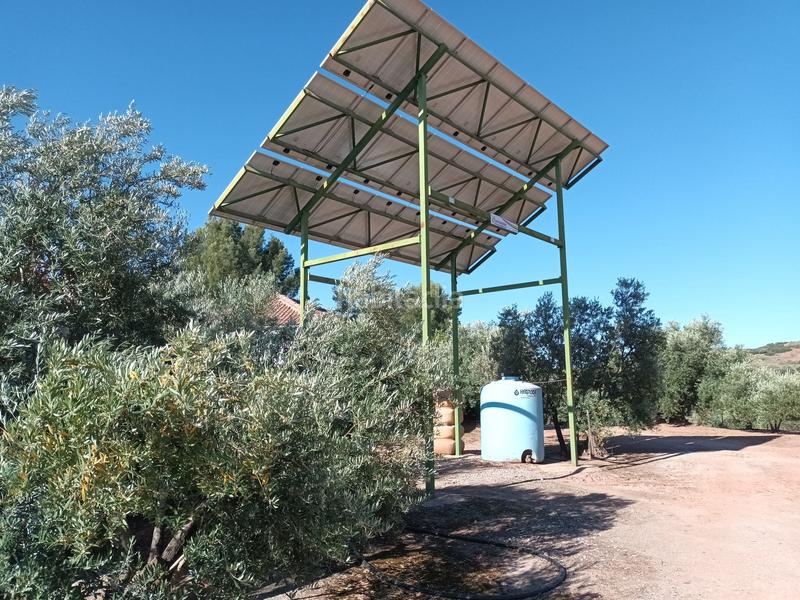 Foto 3e336f42-a2dd-4696-8d03-43a93a9e561a. Finca rústica 800&gt;&gt; olivos riego en termino en Vilches