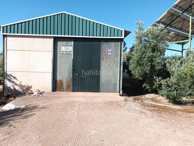 Foto 562a0333-9bbe-4b87-8c95-c95d76853e7d. Finca rústica 800&gt;&gt; olivos riego en termino en Vilches
