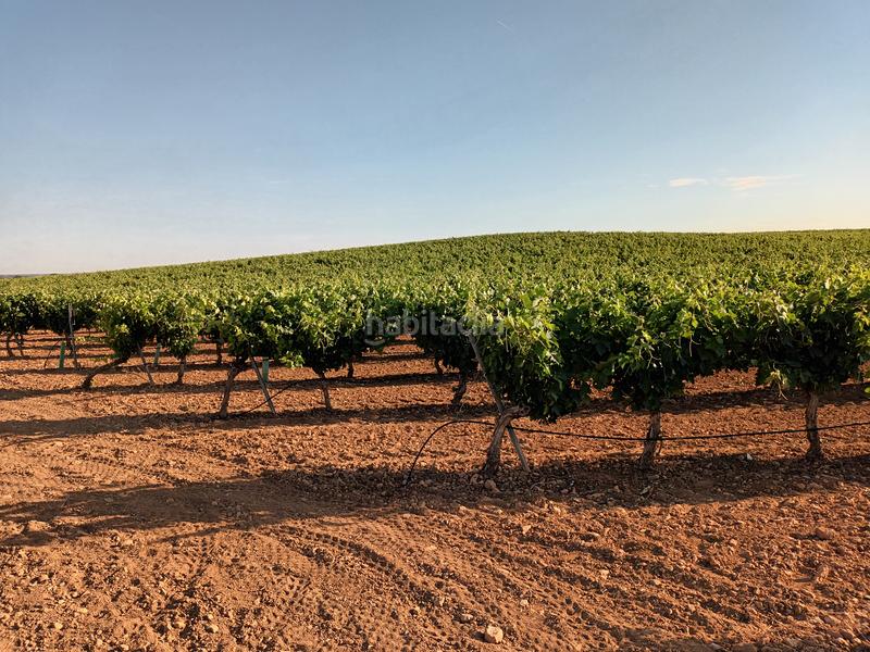 Foto 4941c5c8-681e-4317-ae56-c9b5795ecca1. Finca rústica en calle canalejas 27 vendemos su finca rustica !! en Linares