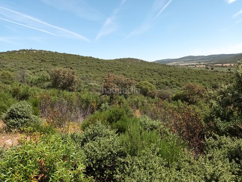 Foto d3642dea-1a72-444f-8120-eb9fa0b05c83. Finca rústica en calle canalejas 27 vendemos su finca rustica !! en Linares