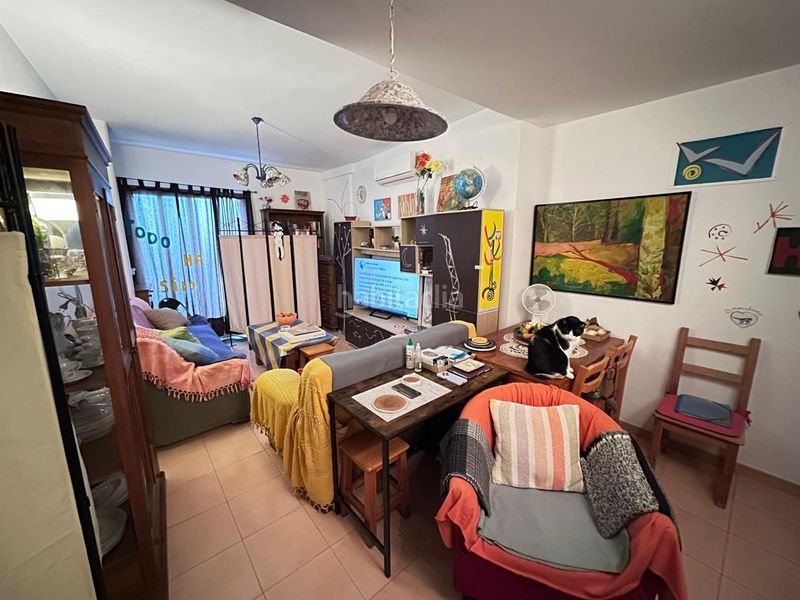 Foto a9554a60-ec1d-4ad6-a5c2-1ce47128b075. Pis a Zafra