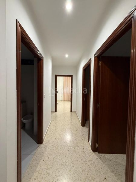 Foto caecde73-2ef1-4d14-a663-7516357c5042. Planta baixa a Almendralejo
