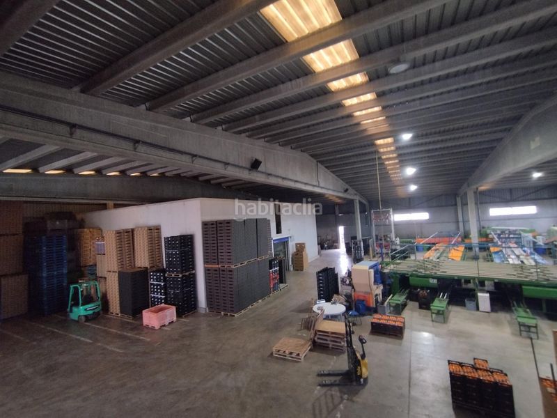 Foto 06d2d385-a9c7-4282-8e3b-9e6e16b9788e. Nau industrial a Massamagrell