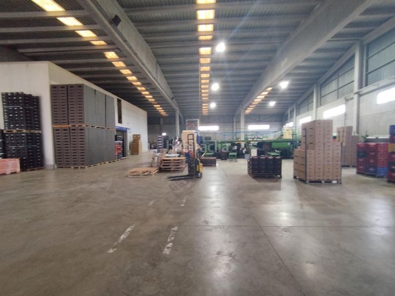 Foto cb04c65e-0450-4075-9ba1-dd7328aaf74d. Nau industrial a Massamagrell