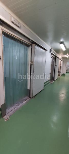 Foto 44bd50db-cc2b-4089-b2c0-c9fdcb723d4a. Fabrikhalle in Algemesí