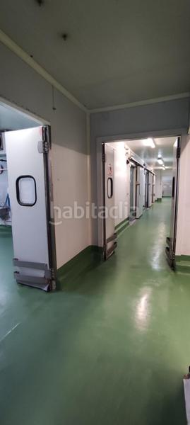 Foto 58e3e1f8-dbca-4f37-ac4e-59af1ee05531. Fabrikhalle in Algemesí