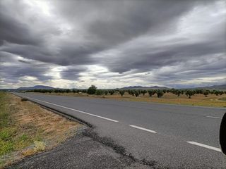 Finca rústica en Mora. Finca rustica a pie de carretera