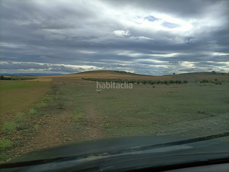 Foto 55669d41-4d50-4164-b93e-f86e15d2cc13. Finca rústica a Mora
