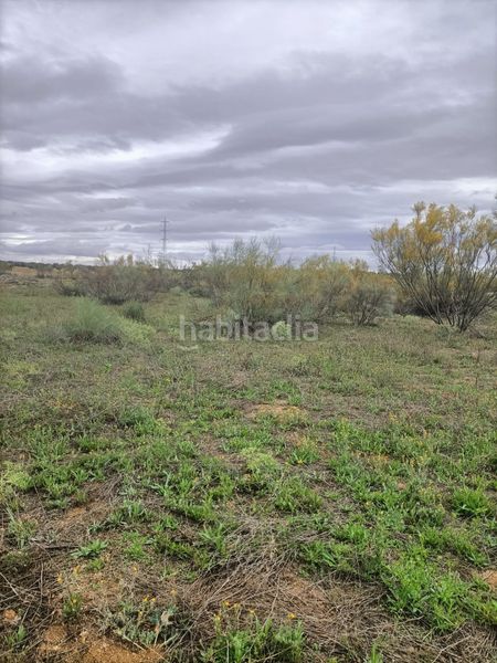 Foto b005bba0-1db0-4cff-96ac-c44c711c3ae9. Finca rústica a Mora