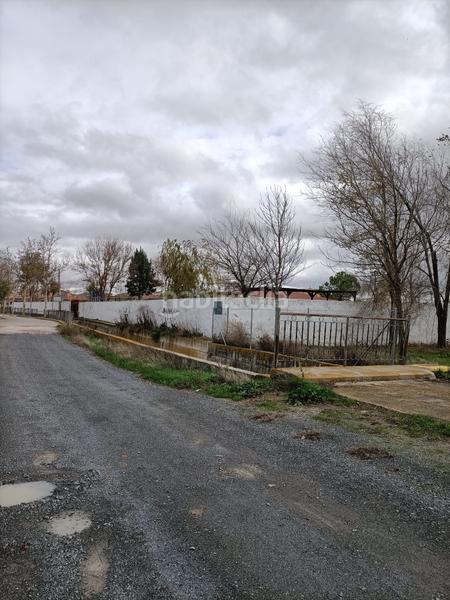 Foto 3f4c69b0-d3a5-4d9d-9220-5f4fd1819fa7. Finca rústica a Mascaraque